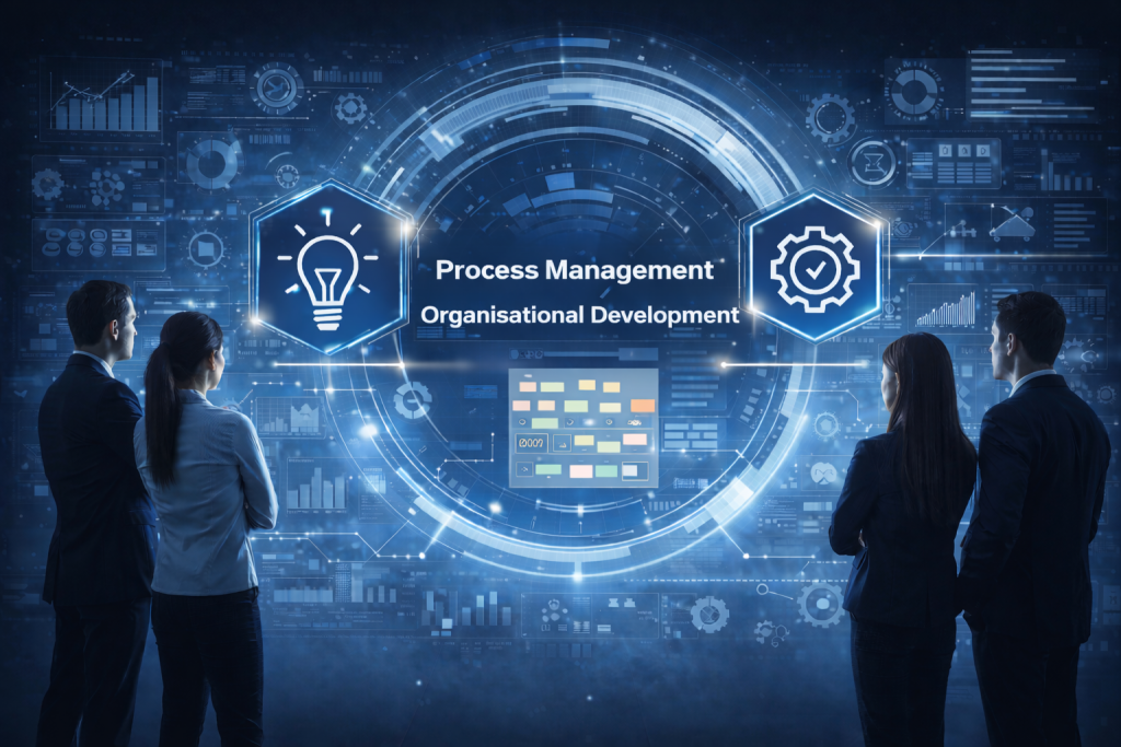 prozessmanagement organisationsentwicklung